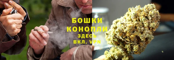 ПСИЛОЦИБИНОВЫЕ ГРИБЫ Покачи
