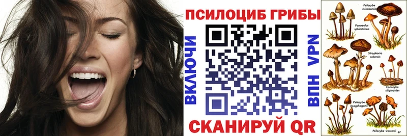 Купить  Балтийск  Псилоцибиновые грибы GOLDEN TEACHER 