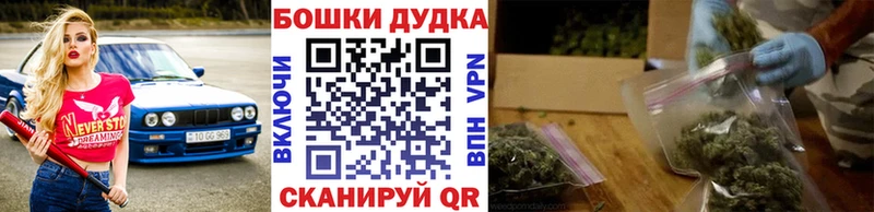 Марихуана OG Kush  Купить где  Балтийск 